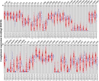 Integrative Analysis of Complement System to Prognosis and Immune Infiltrating in Colon Cancer and Gastric Cancer